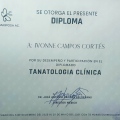 Ampliar imagen: certificate 4