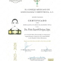 Ampliar imagen: certificate 2