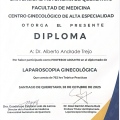 Ampliar imagen: certificate 1