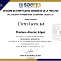 Ampliar imagen: certificate 7