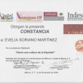 Ampliar imagen: certificate 6
