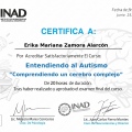 Ampliar imagen: certificate 6