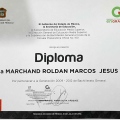 Ampliar imagen: certificate 23