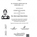 Ampliar imagen: certificate 8