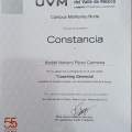 Ampliar imagen: certificate 8