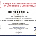 Ampliar imagen: certificate 11