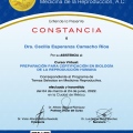 Ampliar imagen: certificate 9