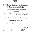 Ampliar imagen: certificate 7
