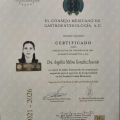 Ampliar imagen: certificate 7