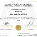 Ampliar imagen: certificate 1