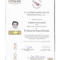 Ampliar imagen: certificate 1