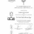 Ampliar imagen: certificate 1