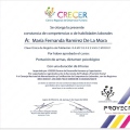 Ampliar imagen: certificate 4
