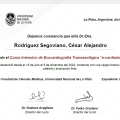 Ampliar imagen: certificate 8