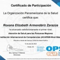 Ampliar imagen: certificate 9