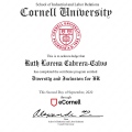Ampliar imagen: certificate 5