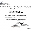 Ampliar imagen: certificate 48