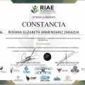 Ampliar imagen: certificate 5