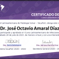 Ampliar imagen: certificate 7