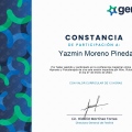 Ampliar imagen: certificate 17