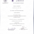 Ampliar imagen: certificate 6