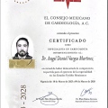 Ampliar imagen: certificate 4