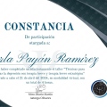 Ampliar imagen: certificate 7