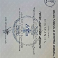 Ampliar imagen: certificate 3