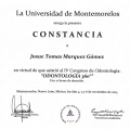 Ampliar imagen: certificate 13