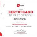 Ampliar imagen: certificate 2