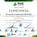 Ampliar imagen: certificate 6