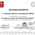 Ampliar imagen: certificate 20