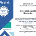 Ampliar imagen: certificate 4