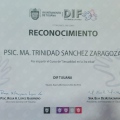 Ampliar imagen: certificate 3