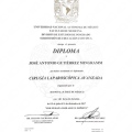 Ampliar imagen: certificate 3