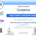 Ampliar imagen: certificate 5
