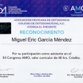 Ampliar imagen: certificate 7