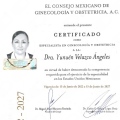 Ampliar imagen: certificate 1
