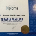Ampliar imagen: certificate 3