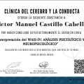 Ampliar imagen: certificate 6