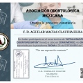 Ampliar imagen: certificate 5