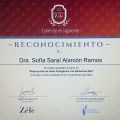 Ampliar imagen: certificate 7