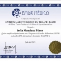 Ampliar imagen: certificate 6
