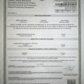 Ampliar imagen: certificate 10