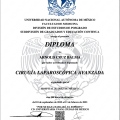 Ampliar imagen: certificate 2