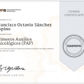 Ampliar imagen: certificate 5
