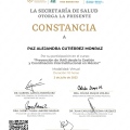 Ampliar imagen: certificate 13
