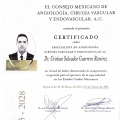Ampliar imagen: certificate 2