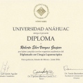 Ampliar imagen: certificate 5