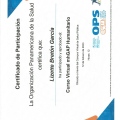 Ampliar imagen: certificate 9